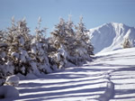 Capodanno sulla neve